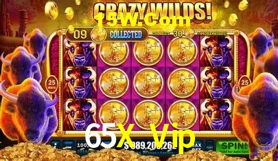 Suporte prioritário e eventos VIP